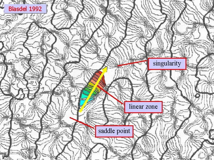 Blasdel 1992 singularity linear zone saddle point 