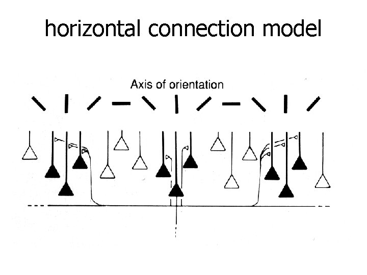 horizontal connection model 