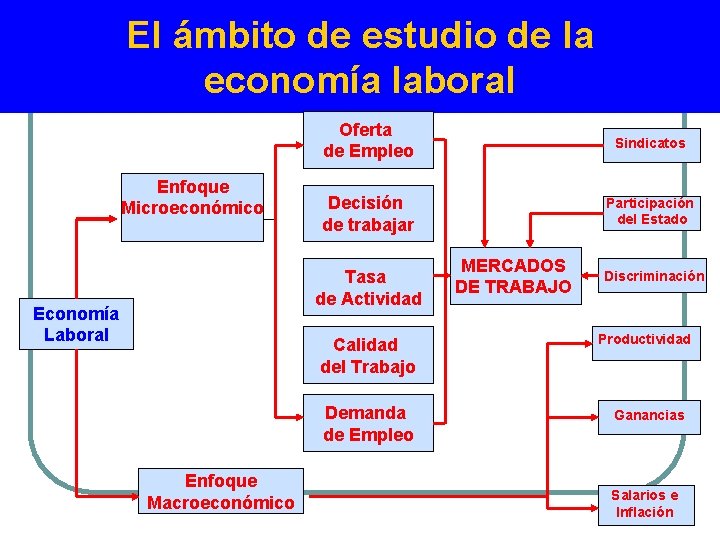 El ámbito de estudio de la economía laboral Enfoque Microeconómico Oferta de Empleo Sindicatos