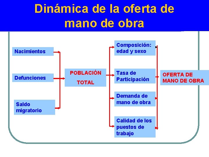 Dinámica de la oferta de mano de obra Composición: edad y sexo Nacimientos Defunciones