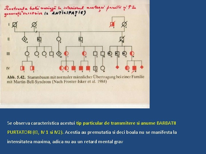 Se observa caracteristica acestui tip particular de transmitere si anume BARBATII PURTATORI (I 3,