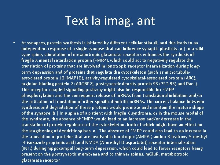 Text la imag. ant • At synapses, protein synthesis is initiated by different cellular