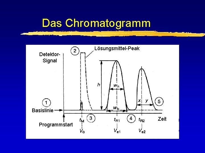 Das Chromatogramm Lösungsmittel-Peak Detektor. Signal Basislinie Zeit Programmstart 