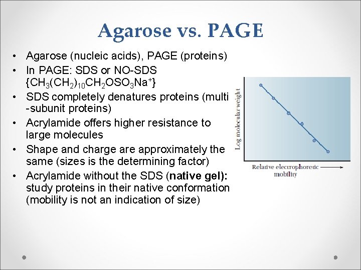 Agarose vs. PAGE • Agarose (nucleic acids), PAGE (proteins) • In PAGE: SDS or