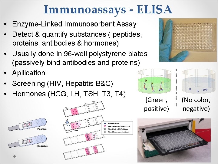 Immunoassays - ELISA • Enzyme-Linked Immunosorbent Assay • Detect & quantify substances ( peptides,