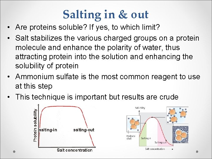 Salting in & out • Are proteins soluble? If yes, to which limit? •