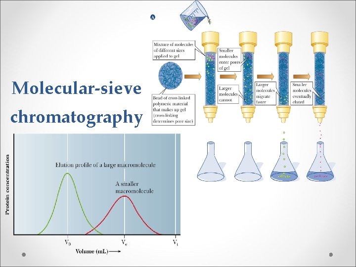 Molecular-sieve chromatography 