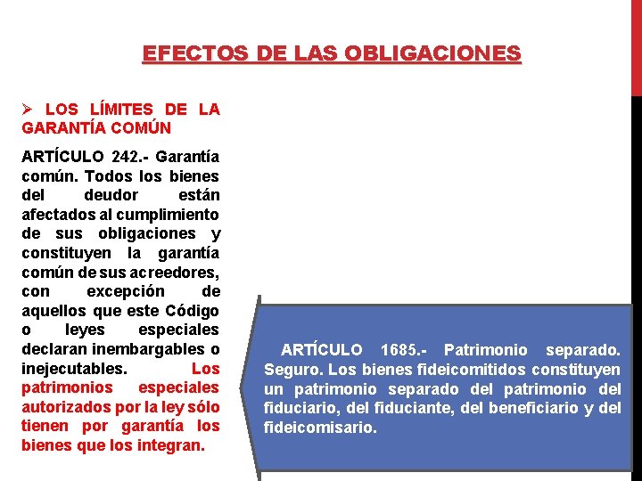 EFECTOS DE LAS OBLIGACIONES Ø LOS LÍMITES DE LA GARANTÍA COMÚN ARTÍCULO 242. -