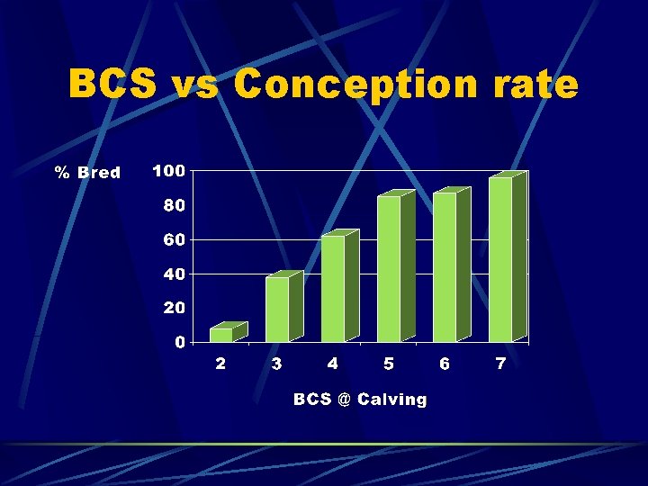 BCS vs Conception rate 