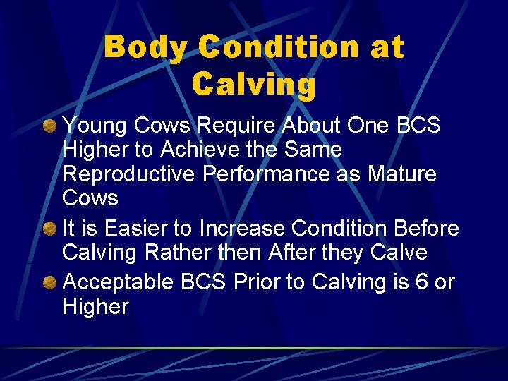 Body Condition at Calving Young Cows Require About One BCS Higher to Achieve the