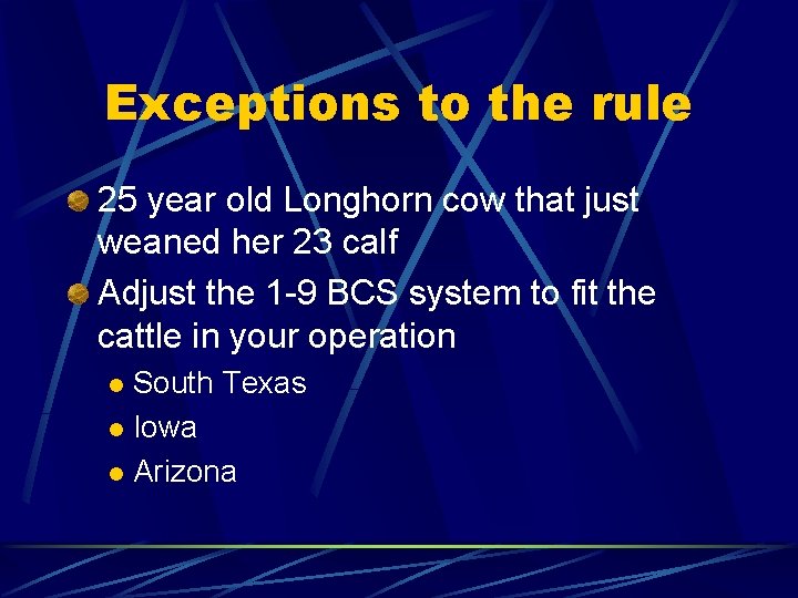 Exceptions to the rule 25 year old Longhorn cow that just weaned her 23