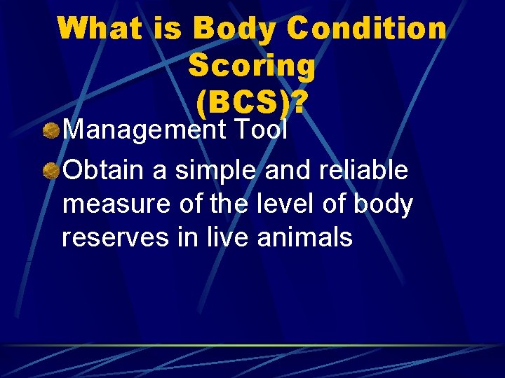 What is Body Condition Scoring (BCS)? Management Tool Obtain a simple and reliable measure