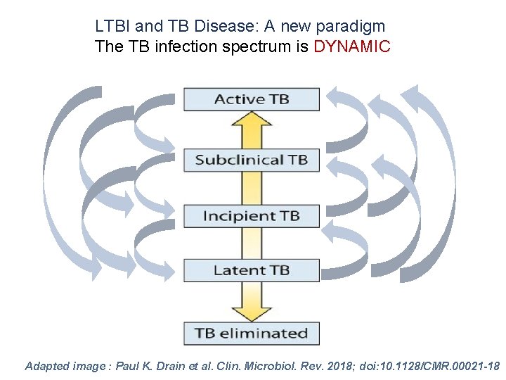 LTBI and TB Disease: A new paradigm The TB infection spectrum is DYNAMIC Adapted