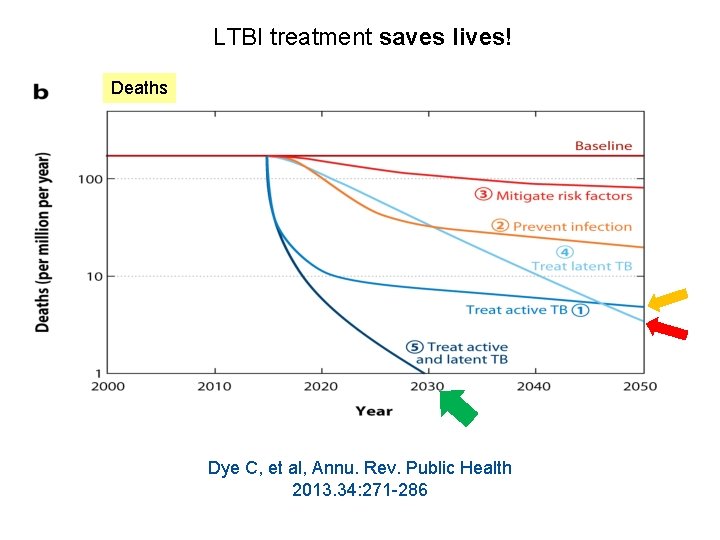 LTBI treatment saves lives! Deaths Dye C, et al, Annu. Rev. Public Health 2013.