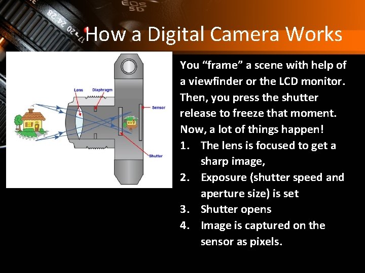 How a Digital Camera Works You “frame” a scene with help of a viewfinder