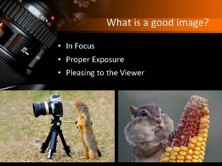 What is a good image? • In Focus • Proper Exposure • Pleasing to