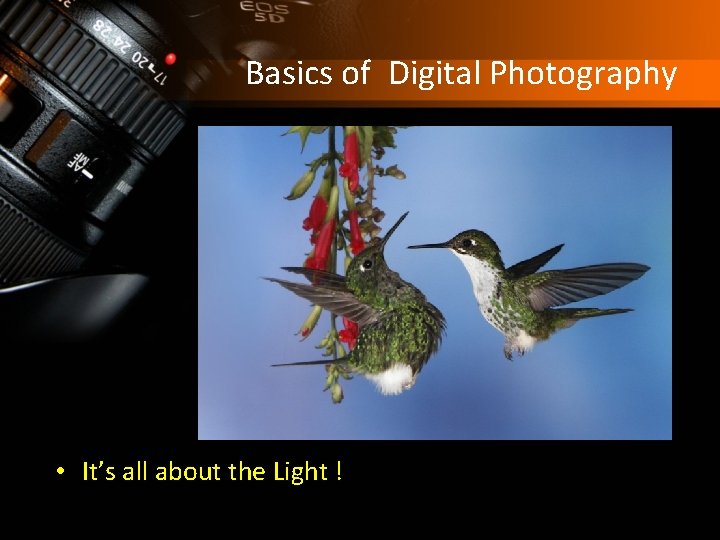 Basics of Digital Photography • It’s all about the Light ! 