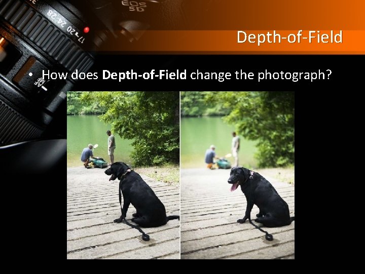 Depth-of-Field • How does Depth-of-Field change the photograph? 
