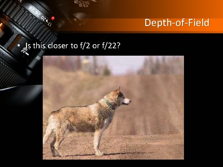 Depth-of-Field • Is this closer to f/2 or f/22? 