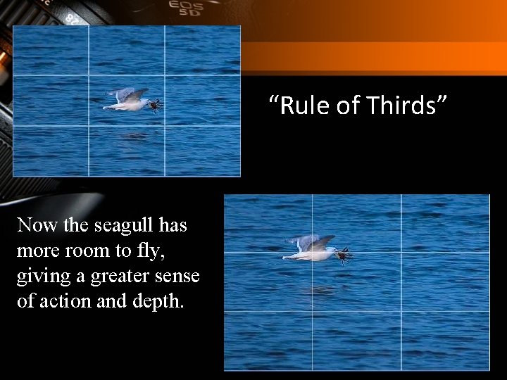“Rule of Thirds” Now the seagull has more room to fly, giving a greater