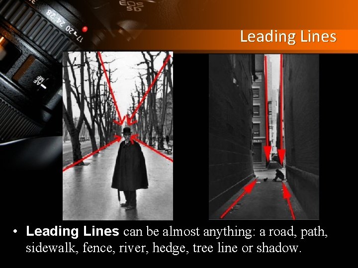 Leading Lines • Leading Lines can be almost anything: a road, path, sidewalk, fence,