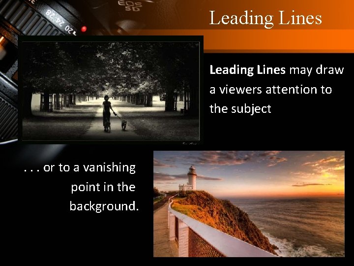 Leading Lines may draw a viewers attention to the subject . . . or