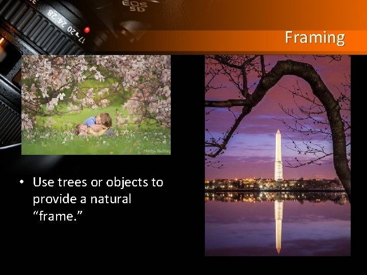 Framing • Use trees or objects to provide a natural “frame. ” 