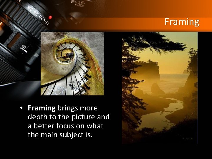 Framing • Framing brings more depth to the picture and a better focus on