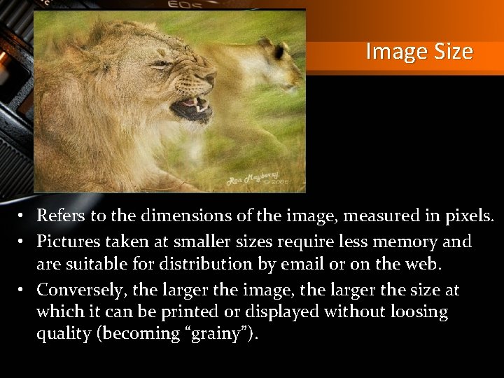Image Size • Refers to the dimensions of the image, measured in pixels. •