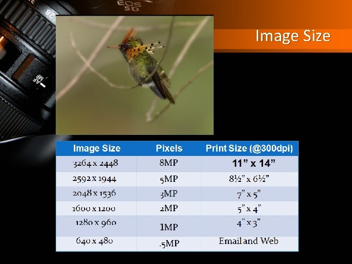 Image Size 11” x 14” 5 MP 8½” x 6½” 3 MP 7” x