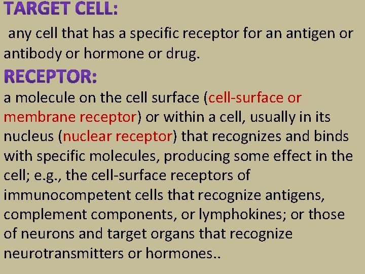  any cell that has a specific receptor for an antigen or antibody or