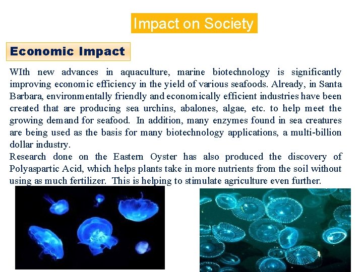 Impact on Society Economic Impact WIth new advances in aquaculture, marine biotechnology is significantly