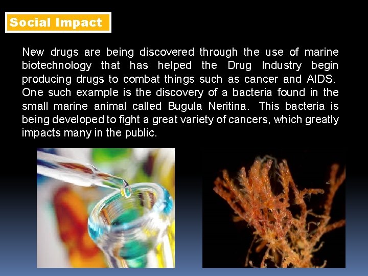 Social Impact New drugs are being discovered through the use of marine biotechnology that