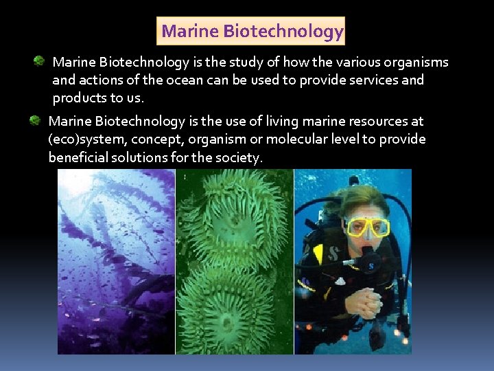 Marine Biotechnology is the study of how the various organisms and actions of the