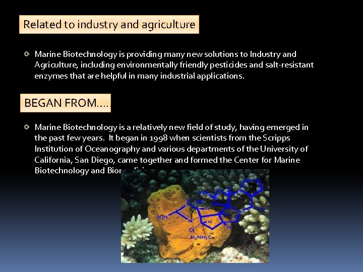 Related to industry and agriculture Marine Biotechnology is providing many new solutions to Industry