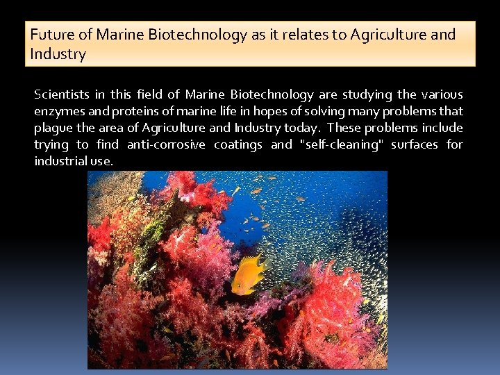 Future of Marine Biotechnology as it relates to Agriculture and Industry Scientists in this