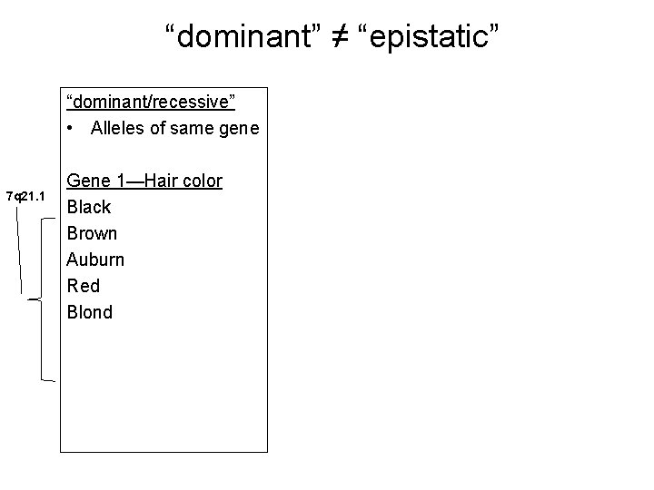 “dominant” ≠ “epistatic” “dominant/recessive” • Alleles of same gene 7 q 21. 1 Gene