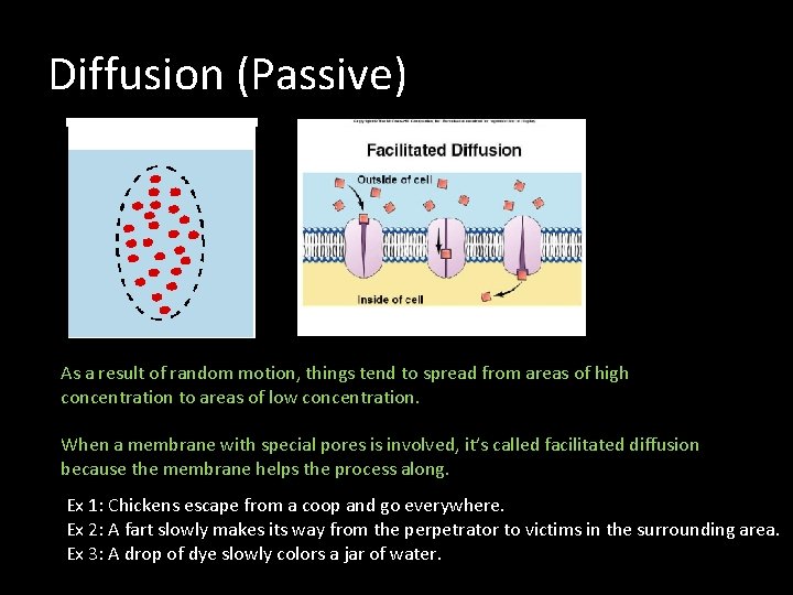 Diffusion (Passive) As a result of random motion, things tend to spread from areas