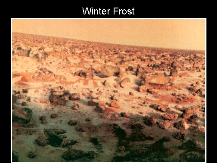 Winter Frost 