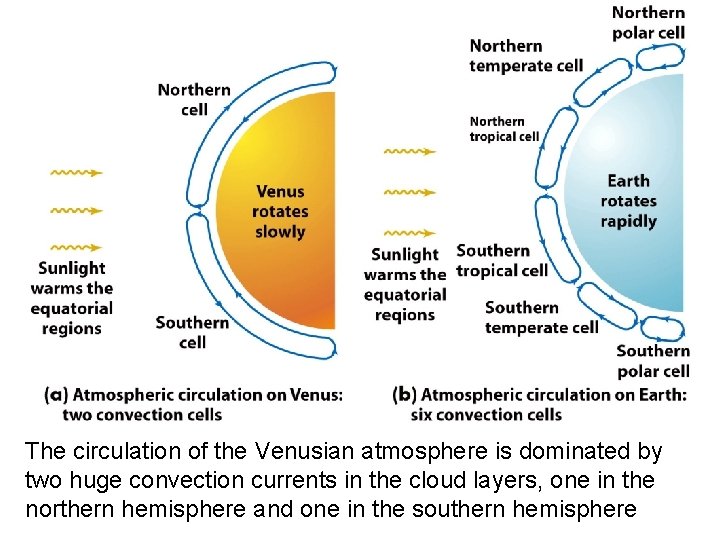 The circulation of the Venusian atmosphere is dominated by two huge convection currents in