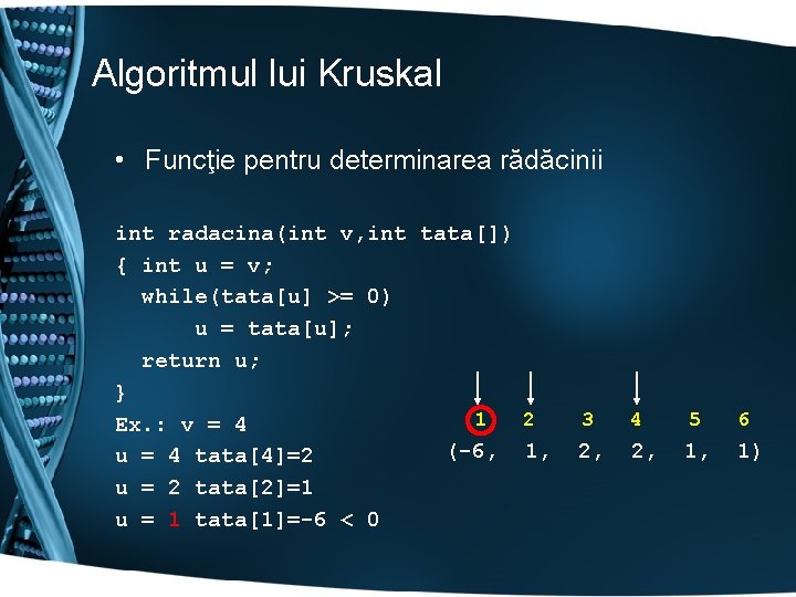Algoritmul lui Kruskal • Funcţie pentru determinarea rădăcinii int radacina(int v, int tata[]) {