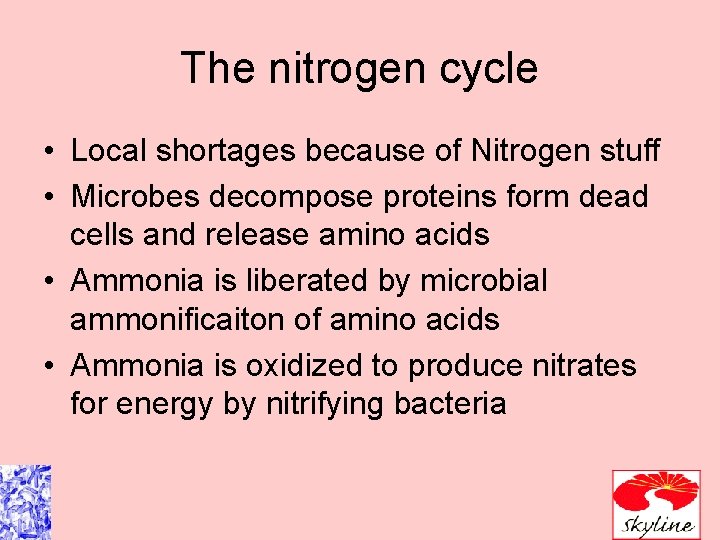 The nitrogen cycle • Local shortages because of Nitrogen stuff • Microbes decompose proteins