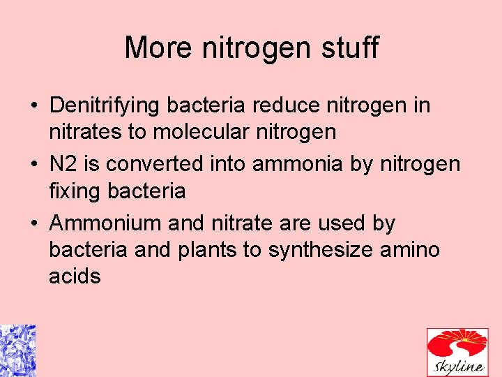 More nitrogen stuff • Denitrifying bacteria reduce nitrogen in nitrates to molecular nitrogen •