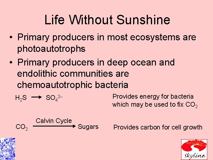 Life Without Sunshine • Primary producers in most ecosystems are photoautotrophs • Primary producers