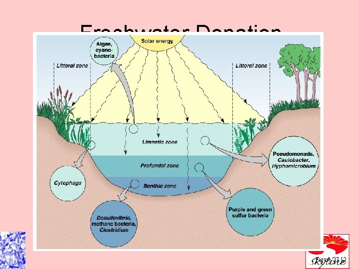 Freshwater Donation Figure 27. 12 
