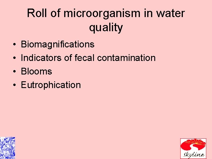Roll of microorganism in water quality • • Biomagnifications Indicators of fecal contamination Blooms