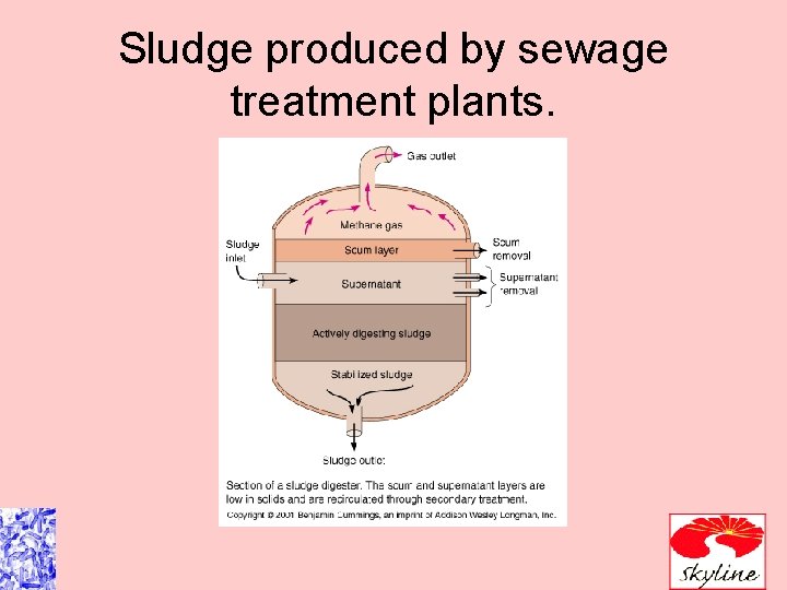 Sludge produced by sewage treatment plants. 