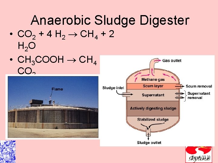 Anaerobic Sludge Digester • CO 2 + 4 H 2 CH 4 + 2