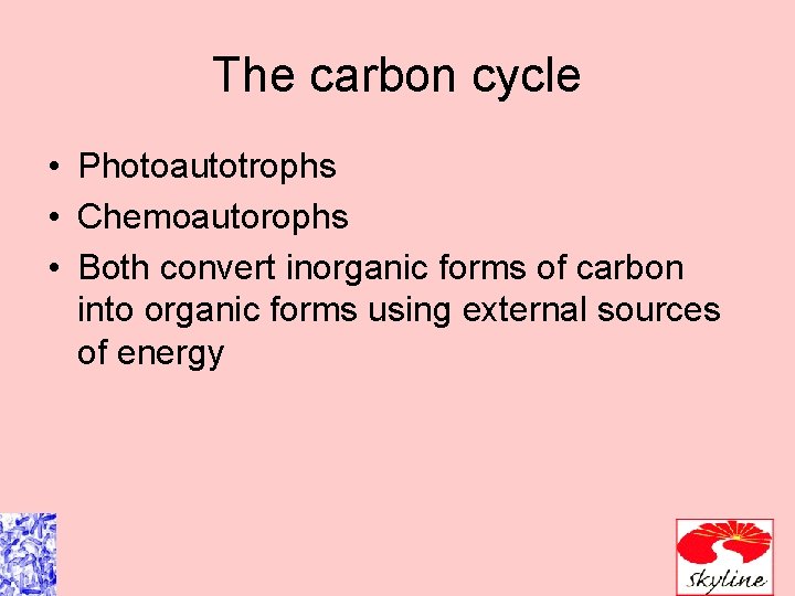 The carbon cycle • Photoautotrophs • Chemoautorophs • Both convert inorganic forms of carbon