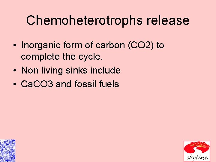 Chemoheterotrophs release • Inorganic form of carbon (CO 2) to complete the cycle. •
